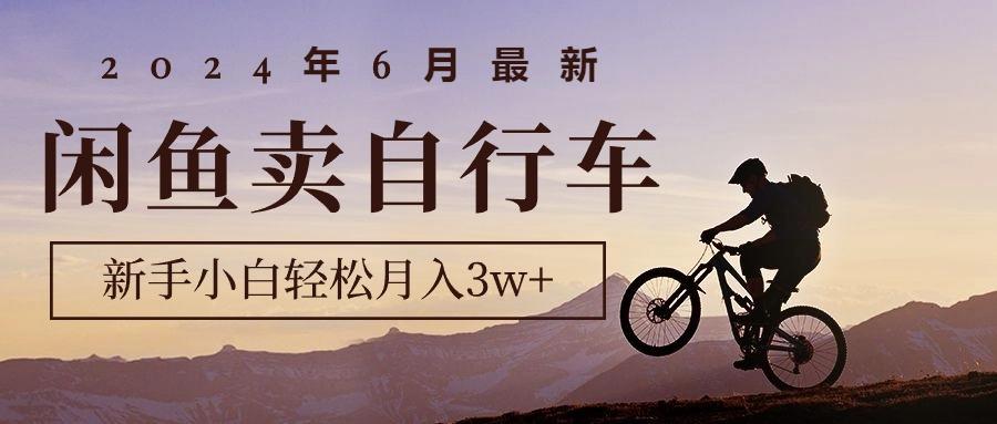 2024年6月最新闲鱼卖自行车，新手小白轻松月入3w+项目-简创项目网