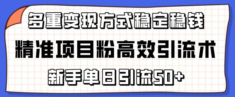 精准项目粉高效引流术，新手单日引流50+，多重变现方式稳定赚钱【揭秘】-简创项目网