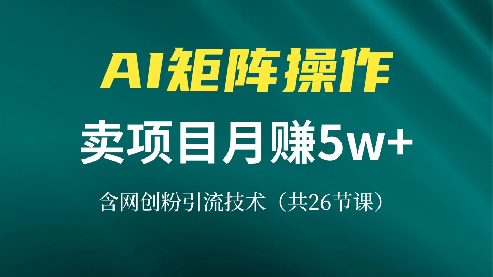 网创IP打造课，借助AI卖项目月赚5万+，含引流技术(共26节课-简创项目网