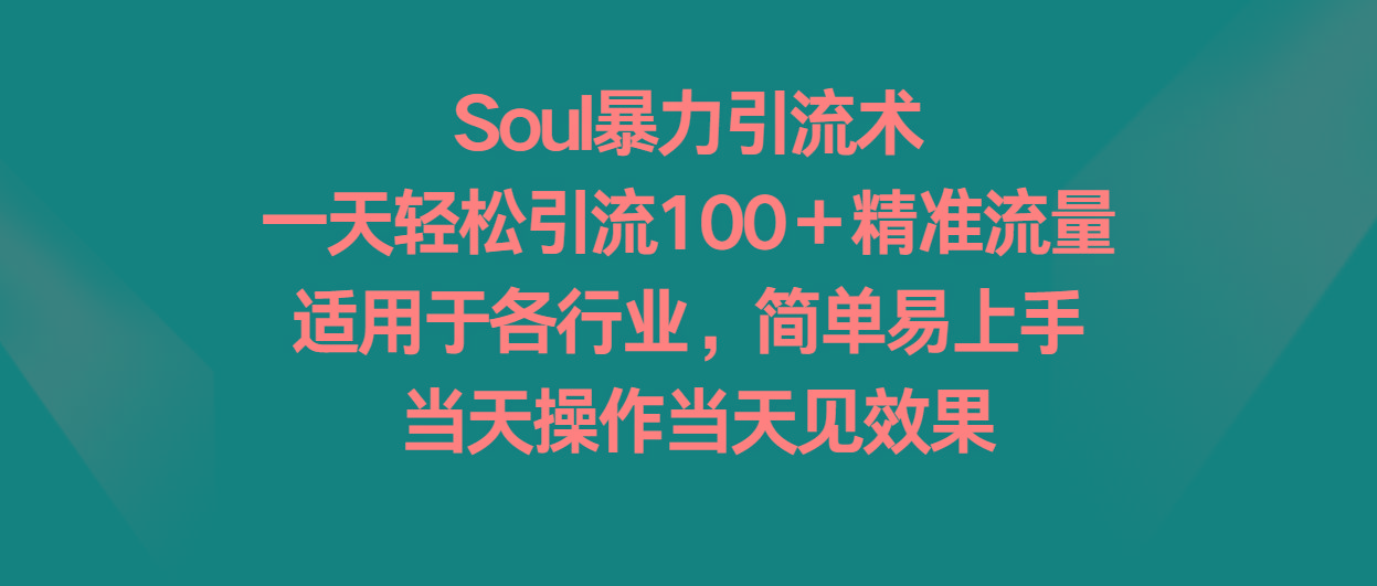 Soul暴力引流术，一天轻松引流100＋精准流量，适用于各行业，简单易上手！-简创项目网