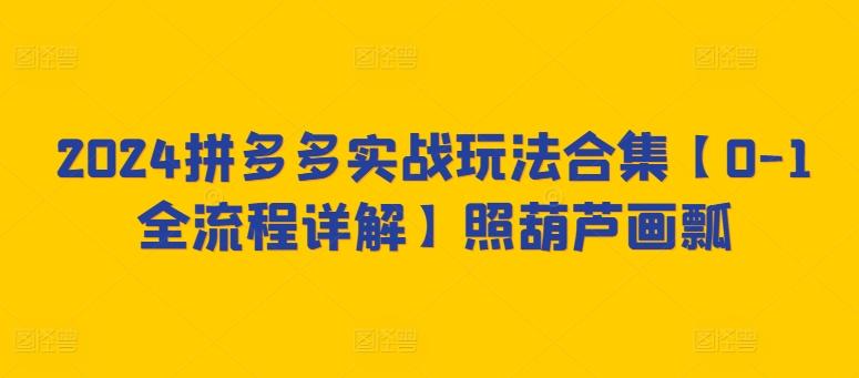 2024拼多多实战玩法合集【0-1全流程详解】照葫芦画瓢-简创项目网