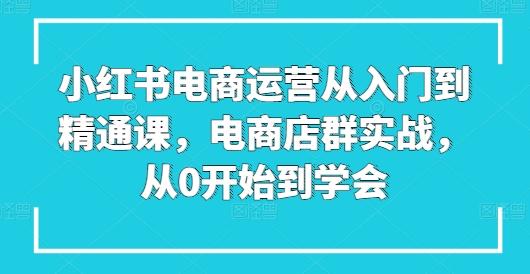 小红书电商运营从入门到精通课，电商店群实战，从0开始到学会-简创项目网