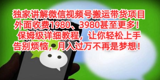 独家讲解微信视频号搬运带货项目，保姆级详细教程-简创项目网