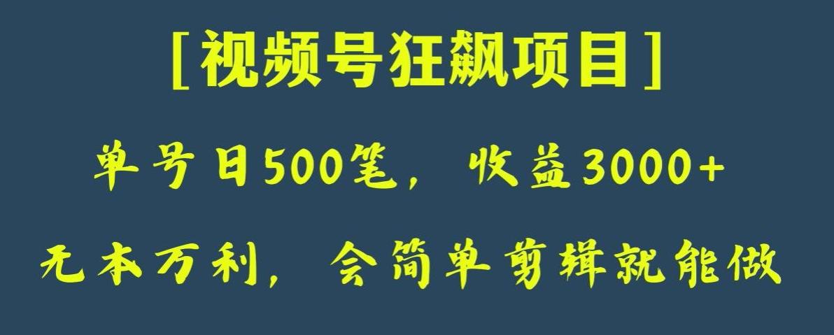 日收款500笔，纯利润3000+，视频号狂飙项目，会简单剪辑就能做【揭秘】-简创项目网