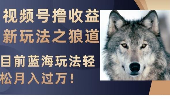 视频号撸收益新玩法之狼道，目前蓝海玩法，轻松月入过万【揭秘】-简创项目网