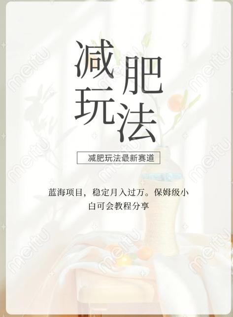 减肥流量主新玩法，轻松月入1W，可矩阵操作收入翻倍-简创项目网