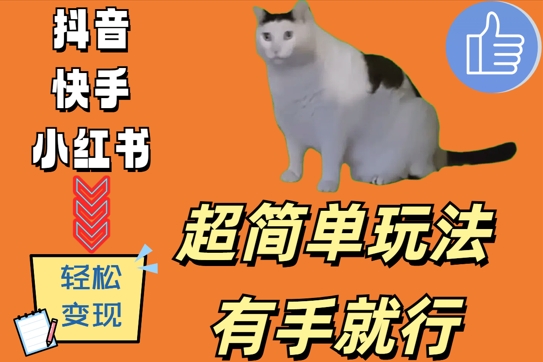 超简单玩法，有手就行，靠猫咪视频日入500+【揭秘】-简创项目网
