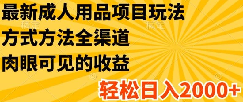 最新成人用品项目玩法，方式方法全渠道，轻松日入2K+【揭秘】-简创项目网