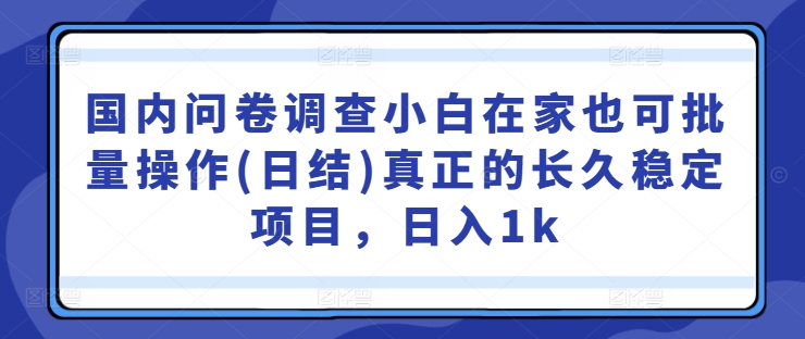 国内问卷调查小白在家也可批量操作(日结)真正的长久稳定项目，日入1k【揭秘】-简创项目网