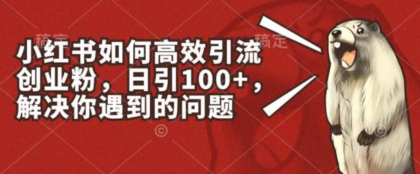 小红书如何高效引流创业粉，日引100+，解决你遇到的问题【揭秘】-简创项目网