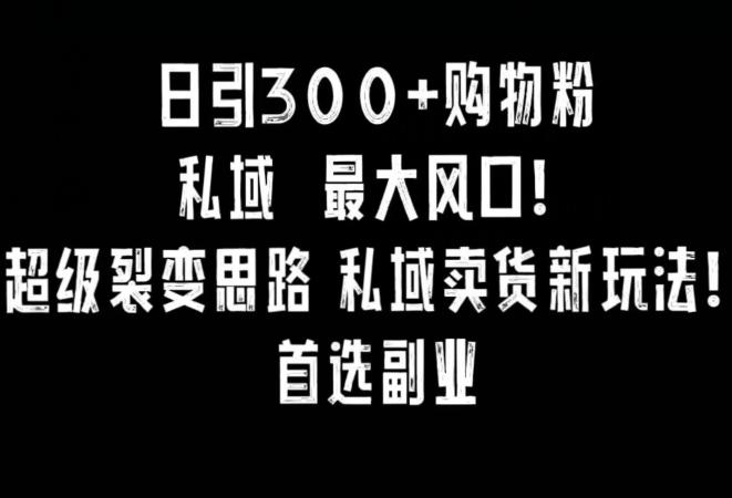 日引300+购物粉，超级裂变思路，私域卖货新玩法，小红书首选副业【揭秘】-简创项目网