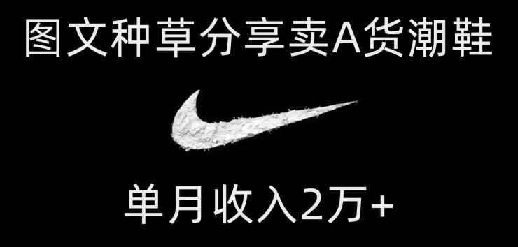 靠图文种草分享卖A货潮鞋，每天一小时，单月收入2万+【揭秘】-简创项目网