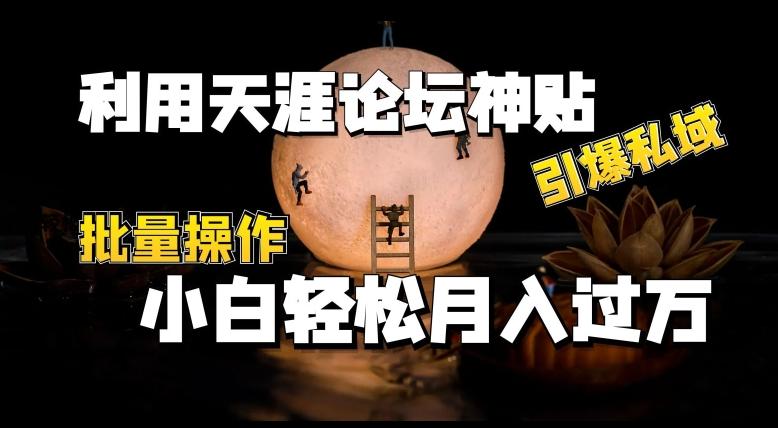 利用天涯论坛神贴，引爆私域，批量操作，小白轻松月入过w【揭秘】-简创项目网