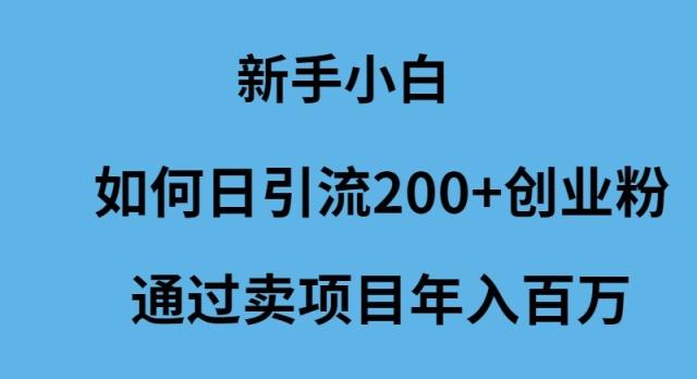 (9668期)新手小白如何日引流200+创业粉通过卖项目年入百万-简创项目网