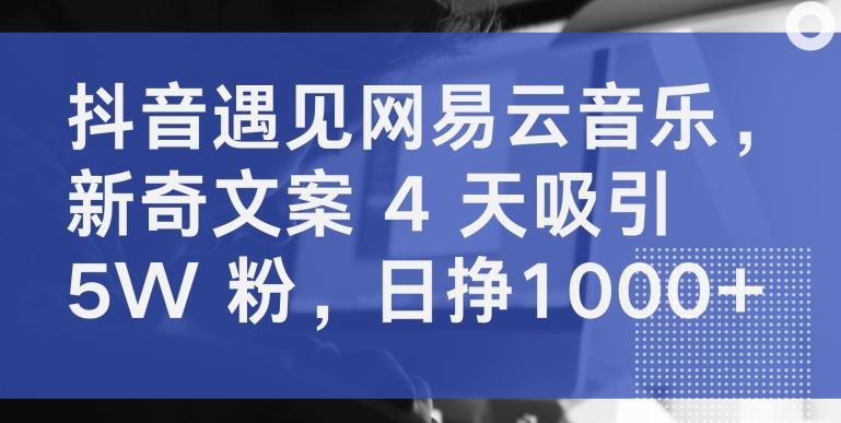 抖音遇见网易云音乐，新奇文案 4 天吸引 5W 粉，日挣1000+【揭秘】-简创项目网