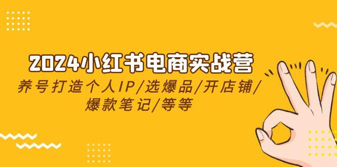 2024小红书电商实战营，养号打造IP/选爆品/开店铺/爆款笔记/等等(24节)-简创项目网