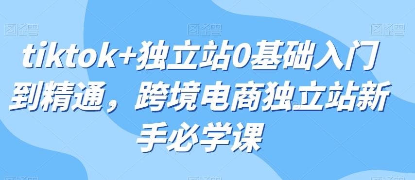 tiktok+独立站0基础入门到精通，跨境电商独立站新手必学课-简创项目网