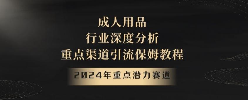 2024年重点潜力赛道，成人用品行业深度分析，重点渠道引流保姆教程【揭秘】-简创项目网