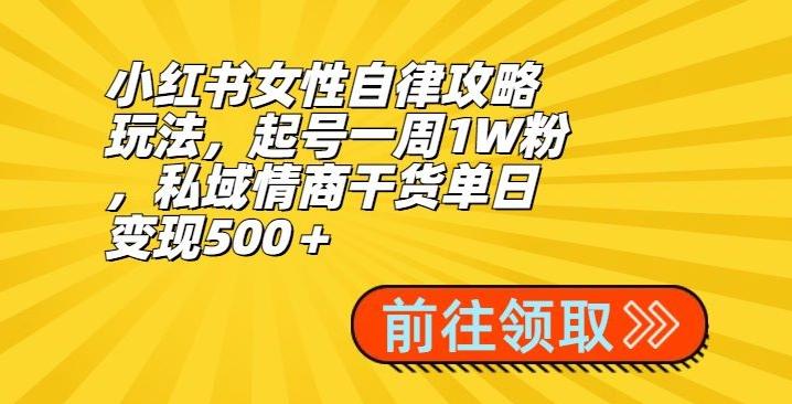 小红书女性自律攻略玩法，起号一周1W粉，私域情商干货单日变现500＋-简创项目网