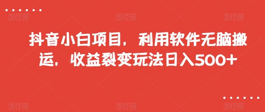 抖音小白项目，利用软件无脑搬运，收益裂变玩法日入500+【揭秘】-简创项目网