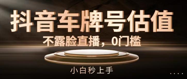 抖音车牌号估值，不露脸直播，0门槛，小白秒上手【揭秘】-简创项目网