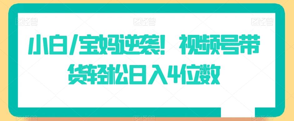 小白/宝妈逆袭！视频号带货轻松日入4位数【揭秘】-简创项目网