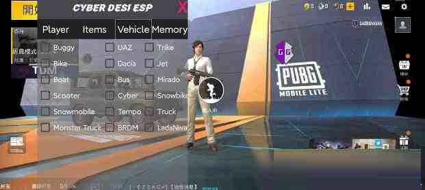 PUBG轻量老外裸奔绘制+自瞄 支持ROOT和框架 里面有全局离线-简创项目网