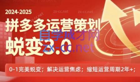 大力老师·2024拼多多运营策略蜕变3.0-简创项目网