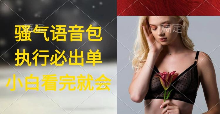 (9589期)执行就出单，日入2000+，超火骚气语音包，小白看完课程就能马上实操-简创项目网