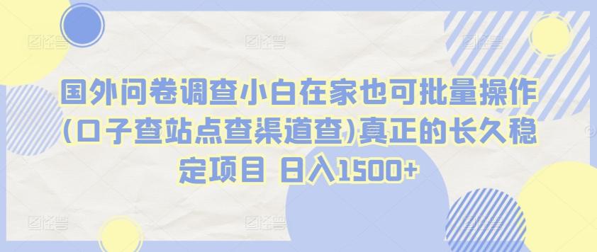 国外问卷调查小白在家也可批量操作(口子查站点查渠道查)真正的长久稳定项目 日入1500+【揭秘】-简创项目网