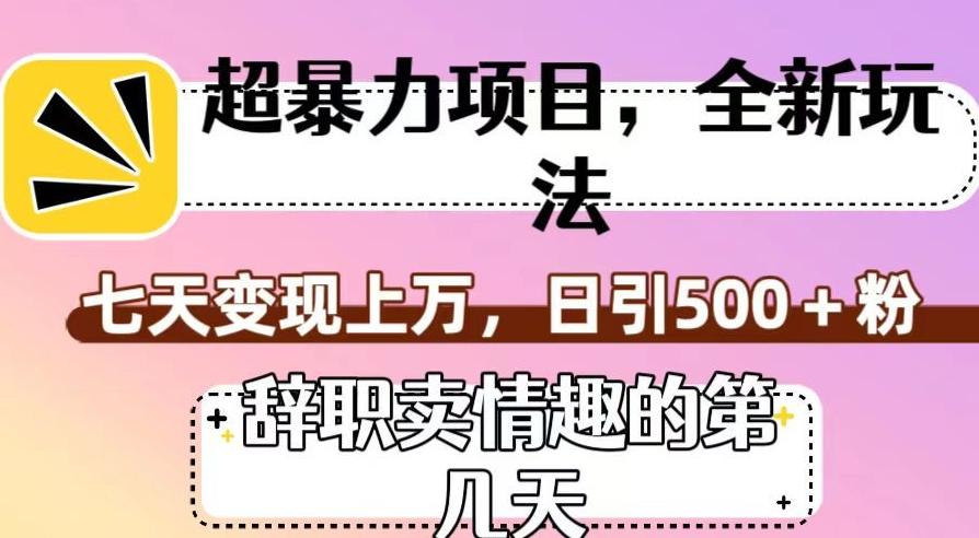 超暴利项目，全新玩法（辞职卖情趣的第几天），七天变现上万，日引500+粉【揭秘】-简创项目网