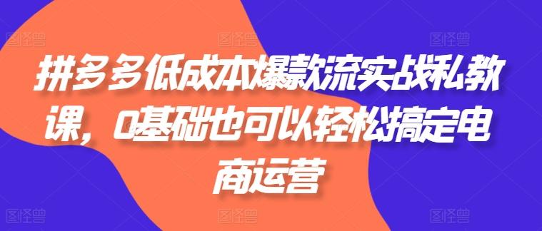 拼多多低成本爆款流实战私教课，0基础也可以轻松搞定电商运营-简创项目网