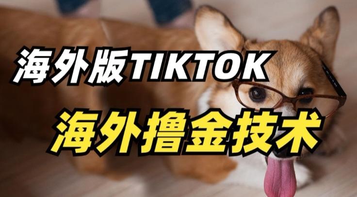 抖音海外版tiktok撸金技术，这个风口行业，赚钱真的不难【揭秘】-简创项目网