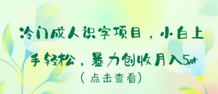 冷门成人识字项目，小白上手轻松，暴力创收月入5w+【揭秘】-简创项目网