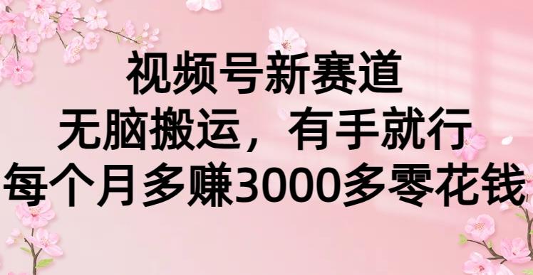 (9278期)视频号新赛道，无脑搬运，有手就行，每个月多赚3000多零花钱-简创项目网