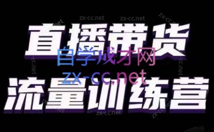 婉婉·直播带货课程系列合集(更新8月)-简创项目网