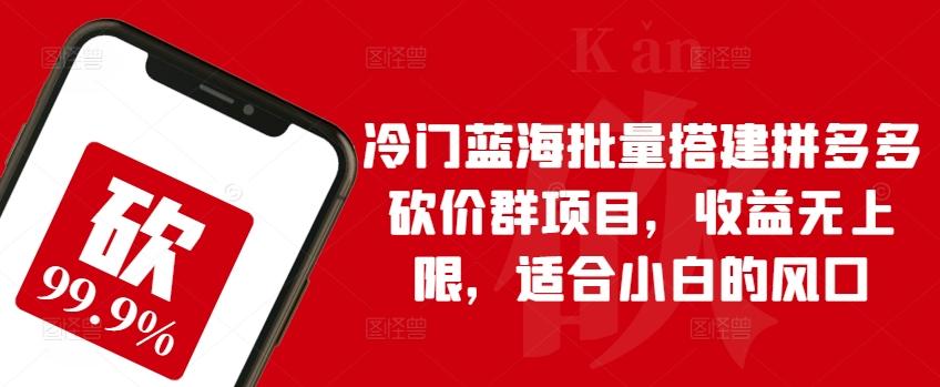 冷门蓝海批量搭建拼多多砍价群项目，收益无上限，适合小白的风口【揭秘】-简创项目网