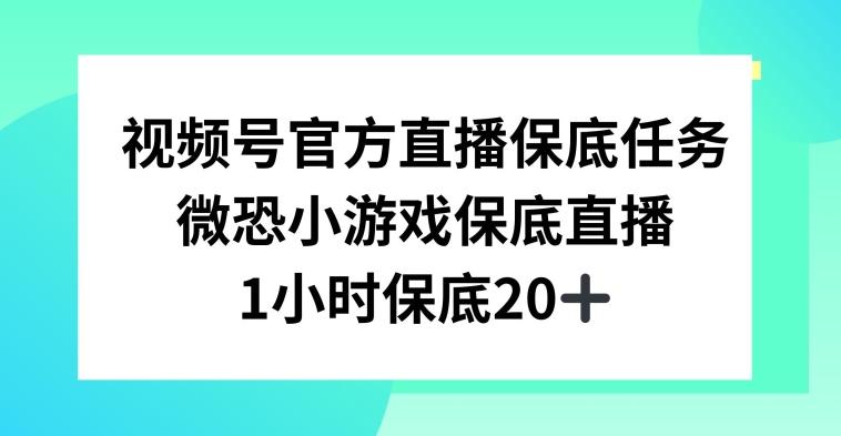 视频号直播任务，微恐小游戏，1小时20+【揭秘】-简创项目网