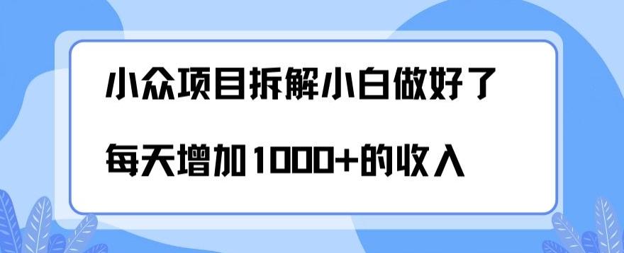 小众项目拆解，小白做好了每天可增加1000多的收入-简创项目网