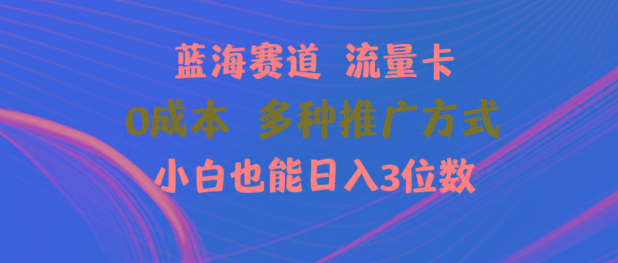 蓝海赛道 流量卡 0成本 小白也能日入三位数-简创项目网