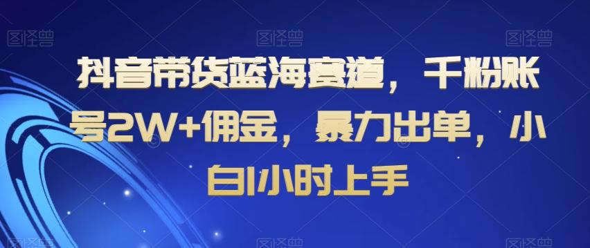 抖音带货蓝海赛道，千粉账号2W+佣金，暴力出单，小白1小时上手【揭秘】-简创项目网