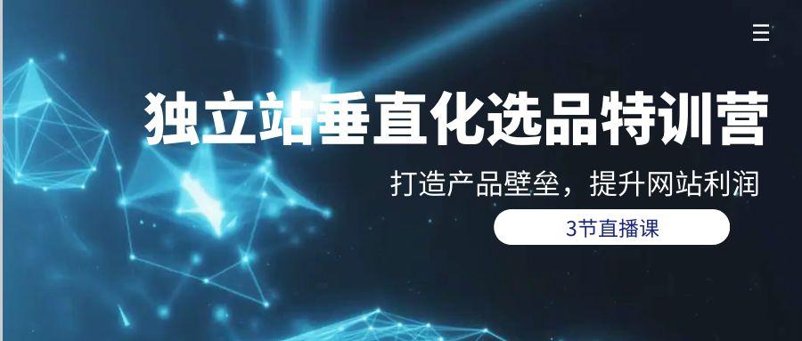 (9925期)独立站-垂直化选品训练营，打造产品壁垒，提升网站利润(3节直播课)-简创项目网