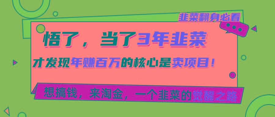 悟了，当了3年韭菜，才发现网赚圈年赚100万的核心是卖项目，含泪分享！-简创项目网