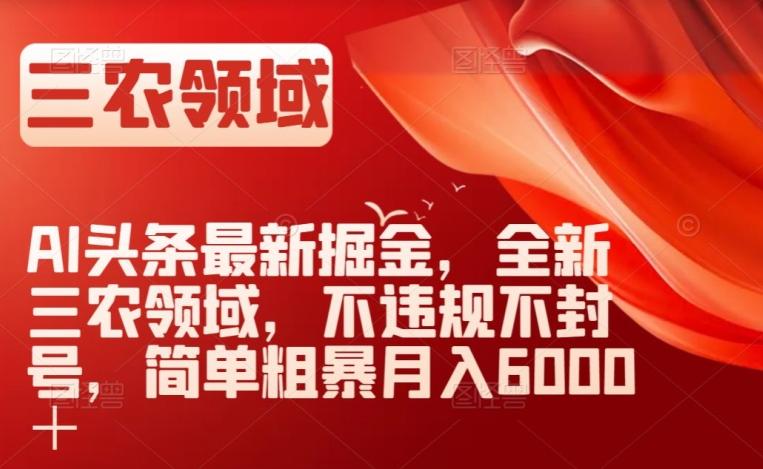 AI头条最新掘金，全新三农领域，不违规不封号，简单粗暴月入6000＋【揭秘】-简创项目网