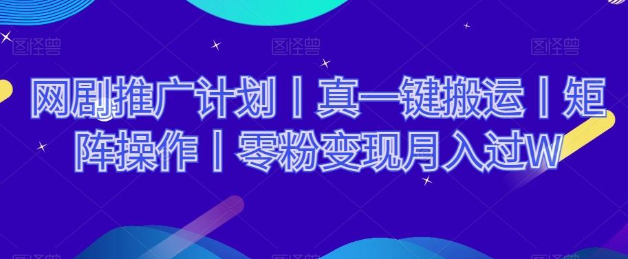 网剧推广计划丨真一键搬运丨矩阵操作丨零粉变现月入过W-简创项目网
