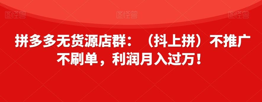 拼多多无货源店群：（抖上拼）不推广不刷单，利润月入过万！【揭秘】-简创项目网