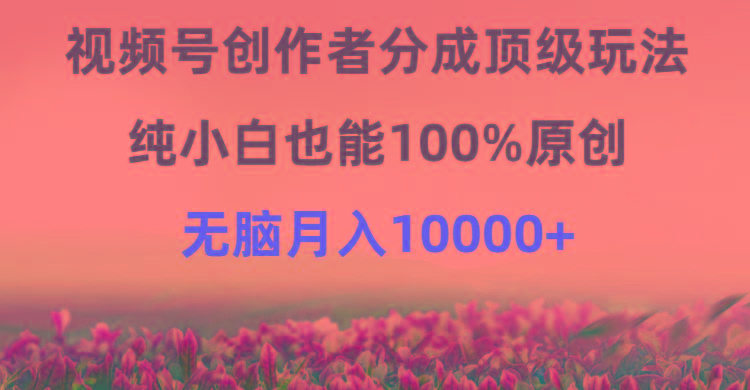 (9608期)视频号创作者分成顶级玩法，纯小白也能100%原创，无脑月入10000+-简创项目网