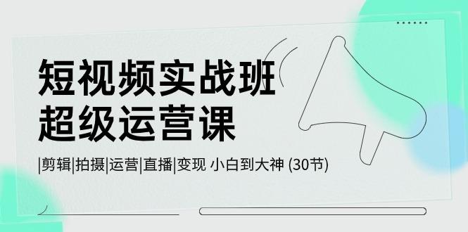短视频实战班超级运营课 |剪辑|拍摄|运营|直播|变现 小白到大神 (30节)-简创项目网