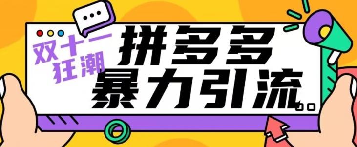 【首发】双十一拼多多暴力引流，日引300+微信-简创项目网