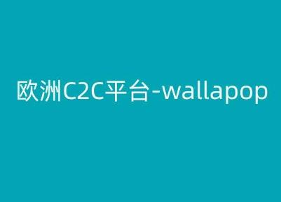 欧洲C2C平台-wallapop-kim跨境电商教程-简创项目网